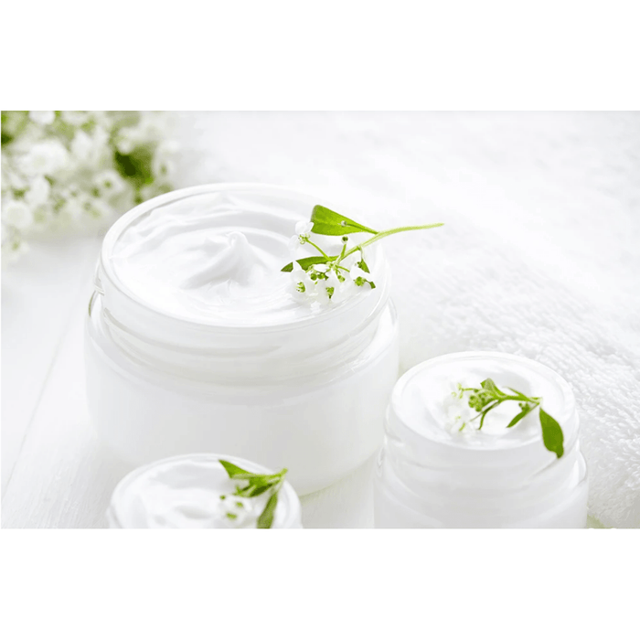 841 Signature Coffee Scented Shea Butter,,Trvl Love Koffee,Trvl Love Koffee