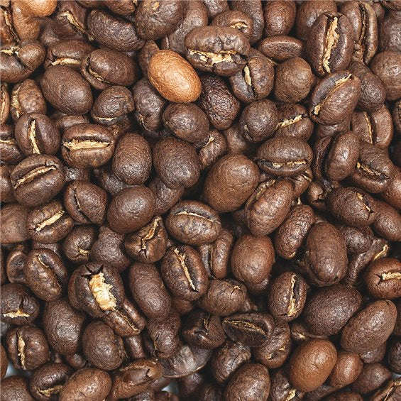 Mount Kilimanjaro | Single Origin | Seasonal Coffee Passport,2 oz Sample,Single Origin,Trvl Love Koffee,Trvl Love Koffee