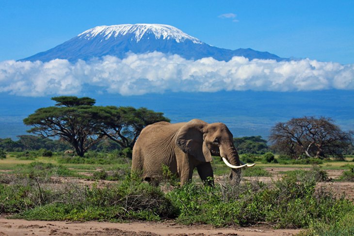 Monte Kilimanjaro | Origen único 